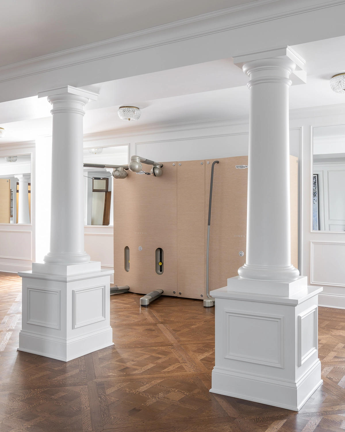 Luxury Home Gym with traditional millwork and home gym equipment