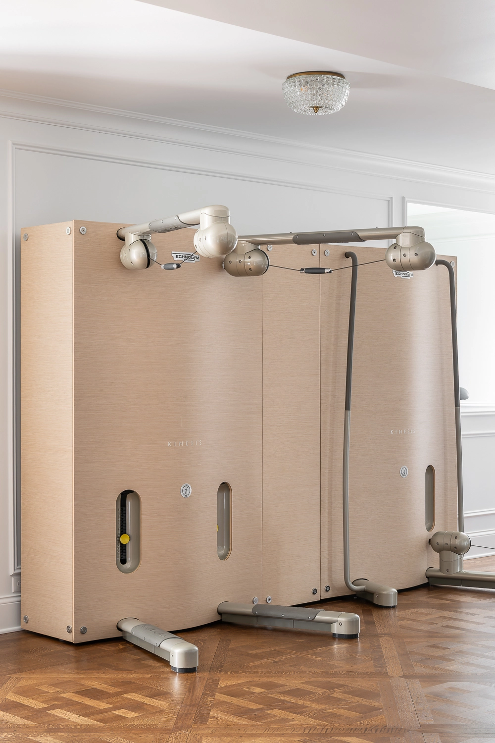 Luxury Home Gym with traditional millwork and home gym equipment