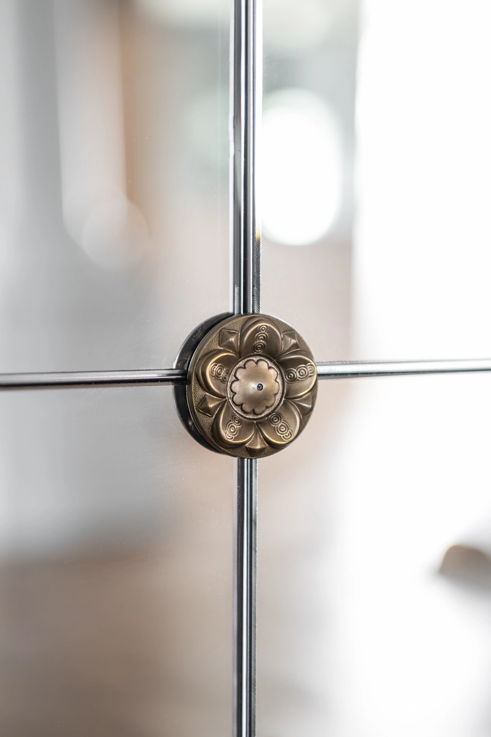 Luxury Home Gym with traditional millwork and mirror rosettes