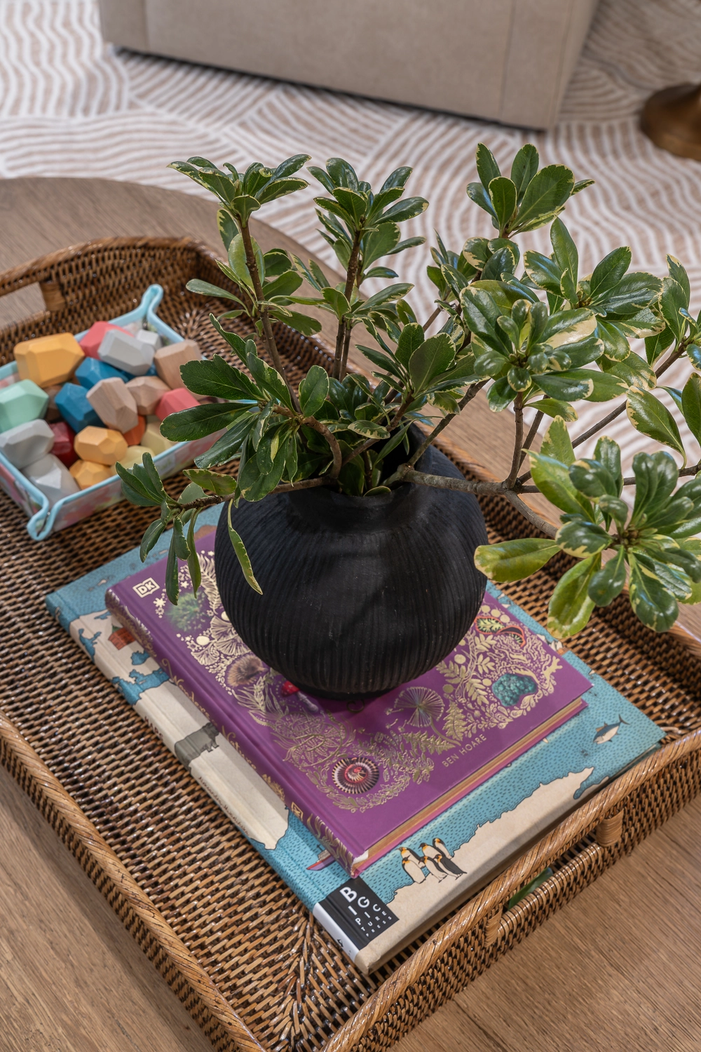 coffee table books and greenery in black vase
