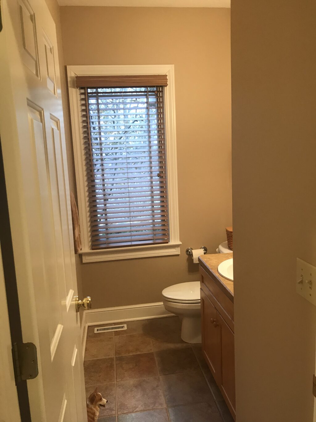 A before picture of powder room with tan tile and oak vanity